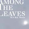 Sun Kil Moon - Among The Leaves